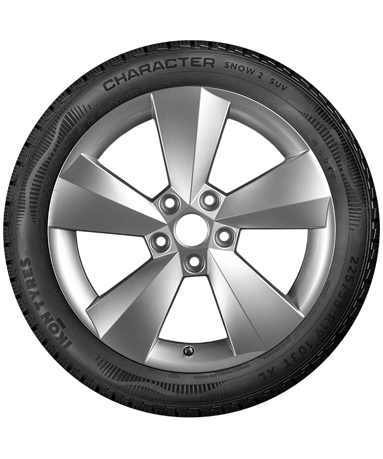 Ikon (Nokian Tyres) Character Snow 2 SUV 215/70 R16 100R заказать